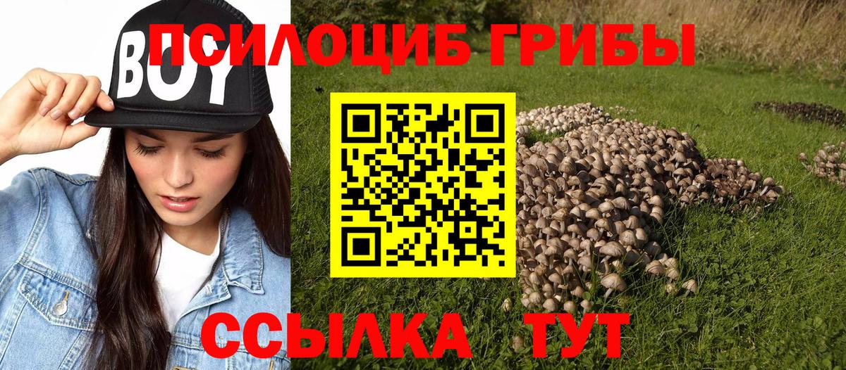 Галлюциногенные грибы прущие грибы  Вход с VPN  Россошь 